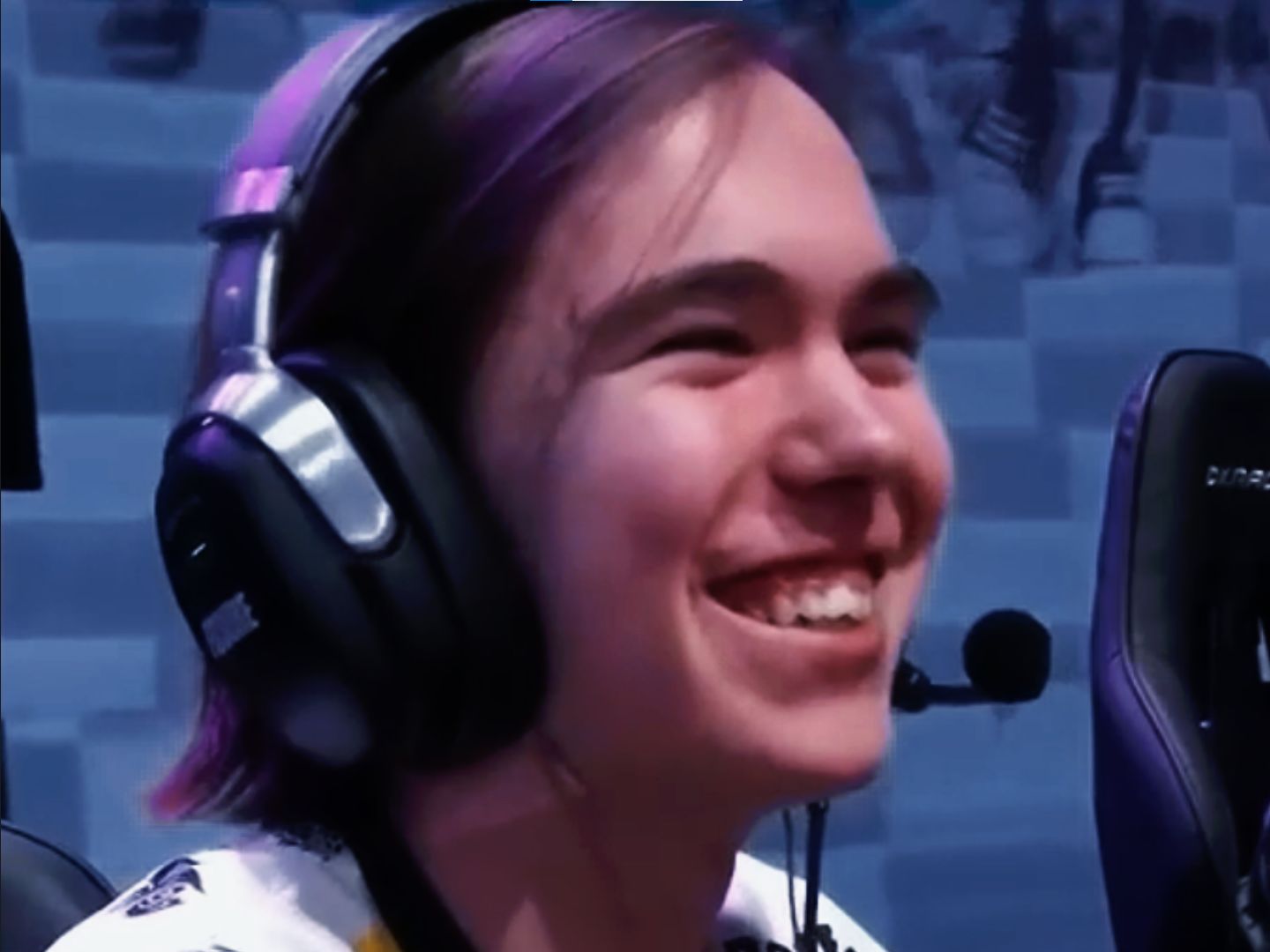 的体育场馆 的体育场馆