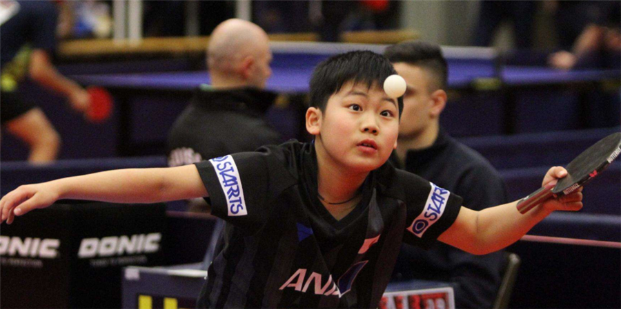 陶汉林与贾 陶汉林与贾