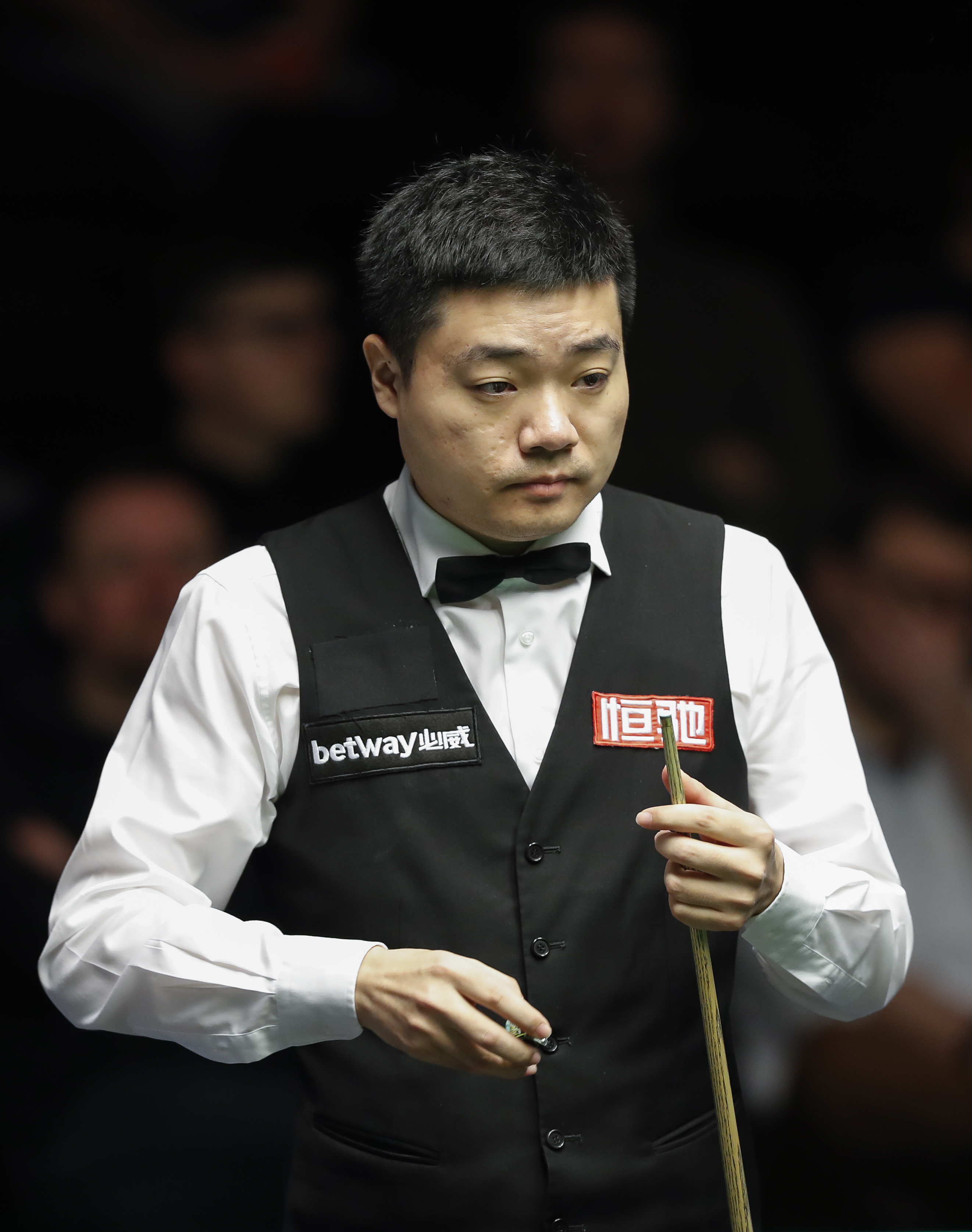 与对新环境 与对新环境