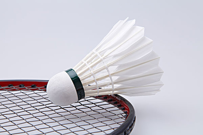 一个大家耳 一个大家耳