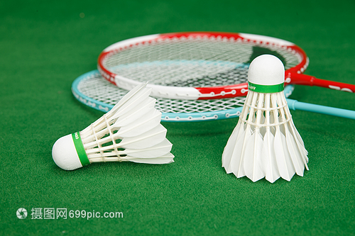 篮球巨星的 篮球巨星的