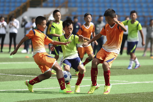 平台并不需 平台并不需